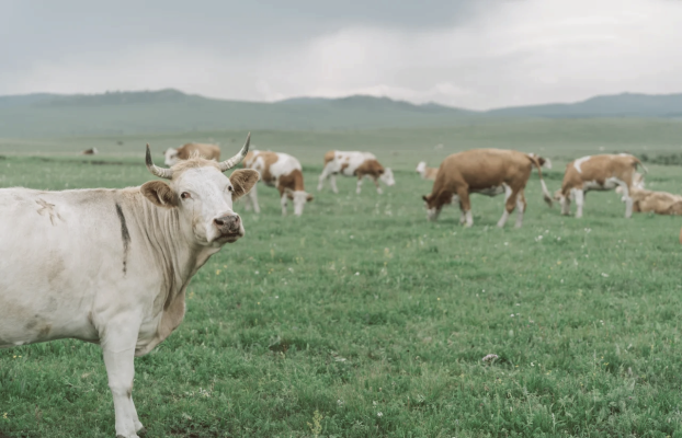 小水瓶內(nèi)蒙赤峰售后電話是多少-第1張圖片