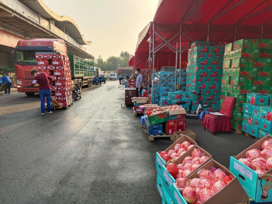 赤峰市區(qū)送貨上門電話號碼-第1張圖片