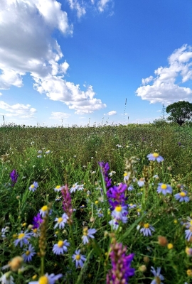 赤峰市白云花煤礦電話號碼-第1張圖片
