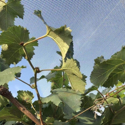 赤峰果園防雹網(wǎng)電話地址查詢-第1張圖片