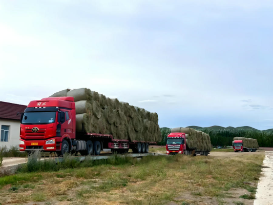 赤峰30萬機(jī)組電廠電話號(hào)碼-第1張圖片