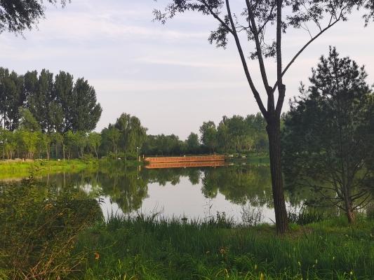 赤峰東郊拉絲廠電話多少號(hào)-第1張圖片