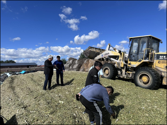 赤峰收玉米的聯(lián)系方式-第1張圖片