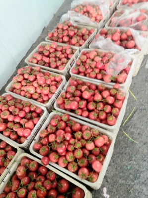 赤峰鐵皮加工廠電話地址查詢-第1張圖片