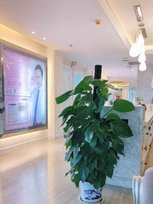 悅己美容赤峰店地址電話號碼-第1張圖片