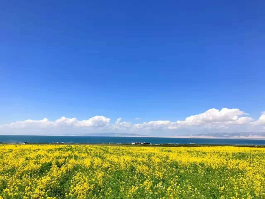 林東去赤峰拼車群電話號(hào)碼-第1張圖片