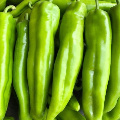 赤峰辣椒烘干廠電話號(hào)碼查詢-第1張圖片