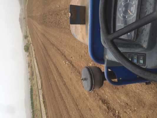 赤峰油菜種植基地電話號碼-第1張圖片