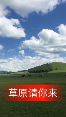 赤峰擺攤直播平臺電話地址查詢-第1張圖片