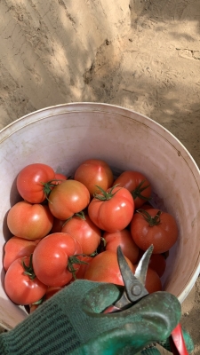 赤峰老付水果超市電話號碼-第1張圖片