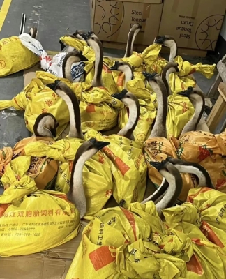 赤峰庫存車直播間電話號碼-第1張圖片