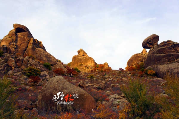 赤峰原野餐吧電話多少號(hào)-第1張圖片