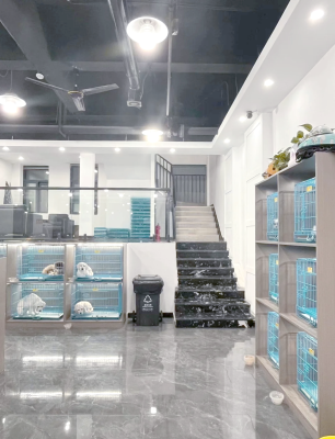 赤峰犬類(lèi)養(yǎng)殖基地-第1張圖片