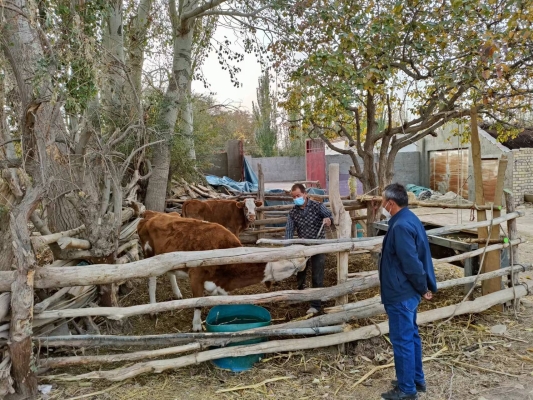 赤峰棚圈設(shè)計(jì)公司地址電話號(hào)碼-第1張圖片