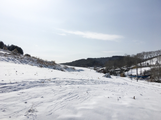 赤峰新亞飛雪糕店電話(huà)號(hào)碼-第1張圖片