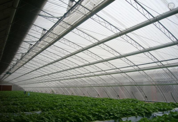 赤峰硼酸廠家電話號(hào)碼查詢-第1張圖片