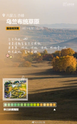 赤峰胡楊林音樂餐廳電話號(hào)碼-第1張圖片