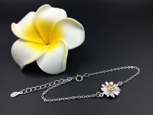 赤峰小雛菊批發(fā)電話地址查詢-第1張圖片