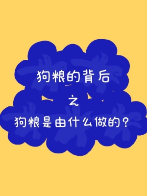 赤峰狗糧工廠地址電話號碼-第1張圖片