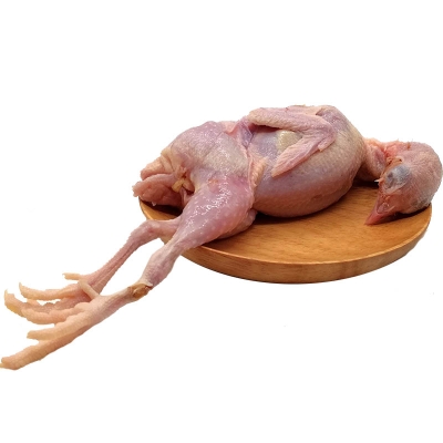 赤峰賣(mài)活鵪鶉的地方電話(huà)號(hào)碼-第1張圖片