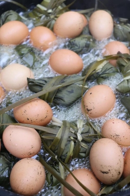 赤峰艾葉批發(fā)電話地址查詢(xún)號(hào)碼-第1張圖片