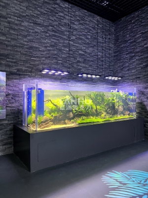 赤峰哪里可以做魚缸-第1張圖片