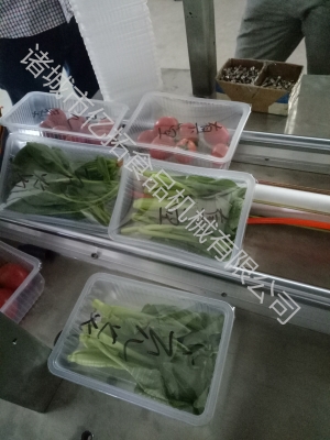 赤峰卷心菜清洗機(jī)售后電話號(hào)碼-第1張圖片