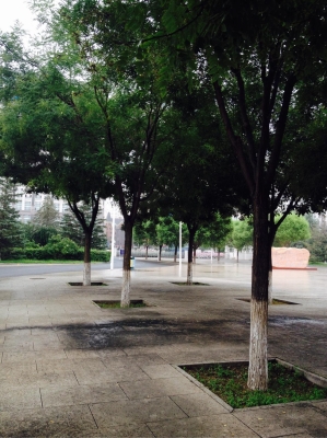 赤峰二中熱線電話號(hào)碼-第1張圖片