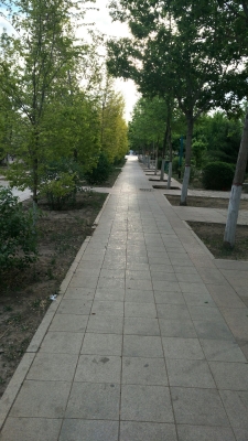 赤峰市天山鎮(zhèn)網(wǎng)吧電話(huà)號(hào)碼-第1張圖片