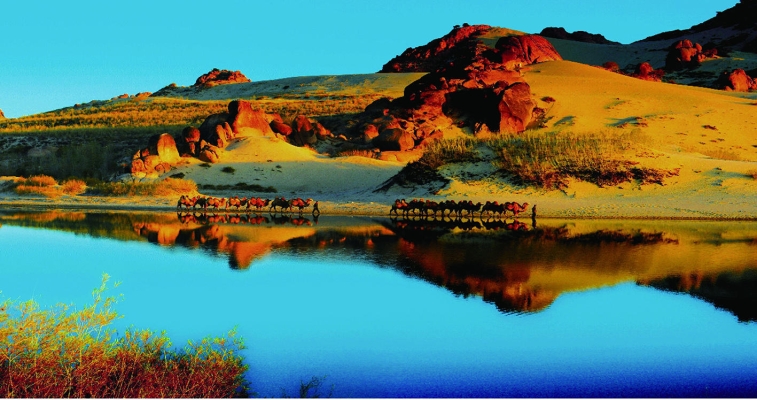 赤峰大程酒店電話號碼多少-第1張圖片