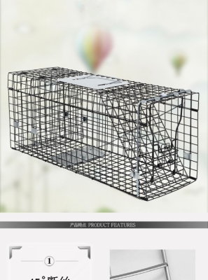 赤峰閑置貓籠廠家電話號碼-第1張圖片