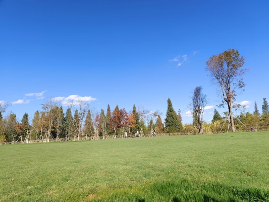 赤峰紅山區(qū)野餐地點(diǎn)電話號碼-第1張圖片
