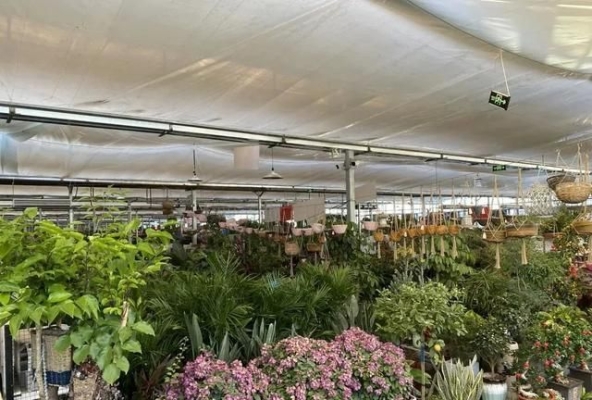 赤峰賣花盆推薦店家電話號碼-第1張圖片