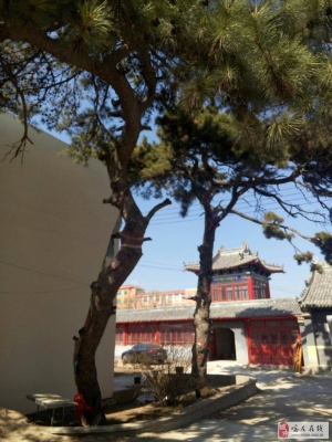 公營子到赤峰客車時(shí)間-第1張圖片