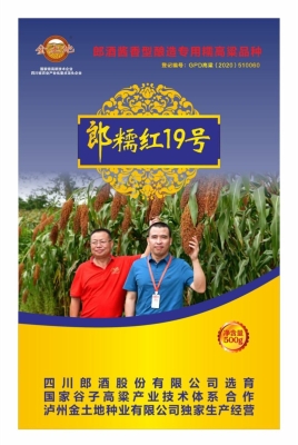 赤峰賣高粱種子電話是多少號-第1張圖片