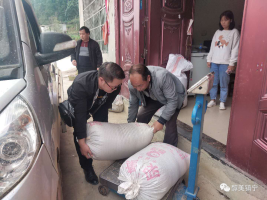 赤峰附近收購高粱電話是多少號-第1張圖片