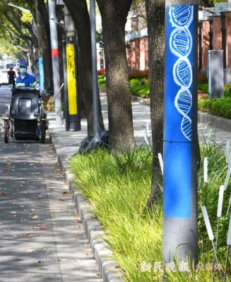 赤峰涂鴉噴漆電話號(hào)碼查詢是多少-第1張圖片