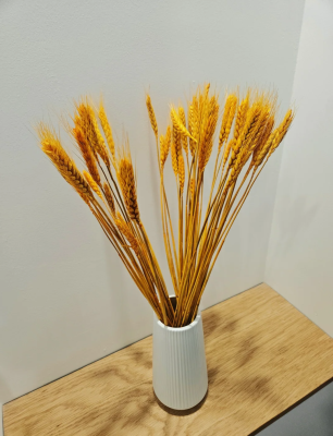 赤峰家庭服務(wù)協(xié)會(huì)電話是多少號(hào)-第1張圖片