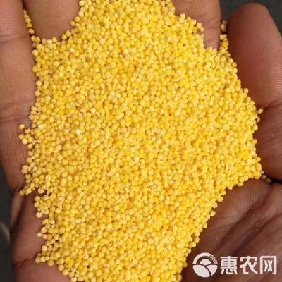 赤峰哪里可以打金子啊電話-第1張圖片