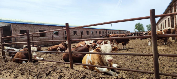 赤峰市喀喇沁旗貨運(yùn)部電話號(hào)碼-第1張圖片