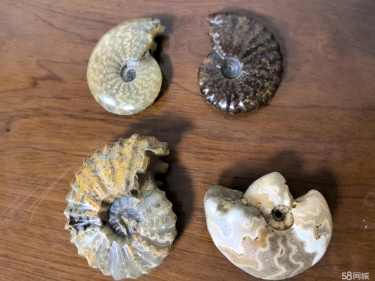 赤峰瓷器藝術品回收電話號碼-第1張圖片