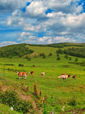 赤峰北極星籃球公園電話號碼-第1張圖片