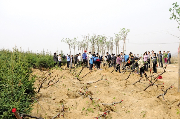 赤峰穆家營二隊電話號碼-第1張圖片