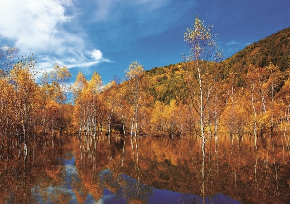 赤峰優(yōu)吉汽配電話地址查詢-第1張圖片