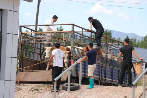 赤峰林東鎮(zhèn)物流電話號碼-第1張圖片