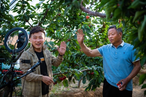 赤峰新聞?dòng)浾唠娫捥?hào)碼是多少-第1張圖片