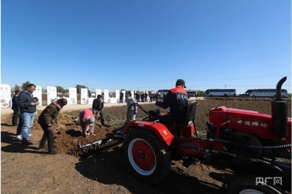 赤峰騰信電腦公司電話號碼-第1張圖片