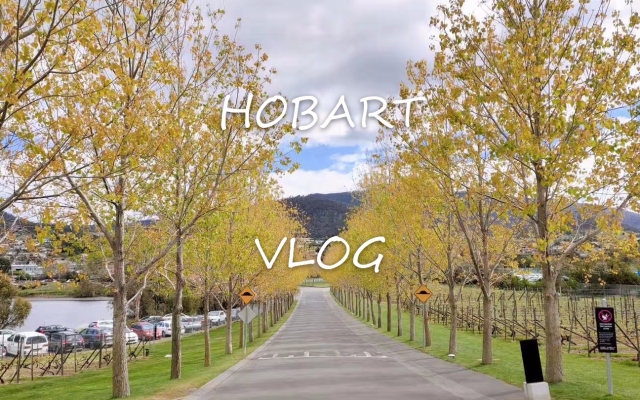 赤峰古堡驚魂酒店電話號碼查詢-第1張圖片