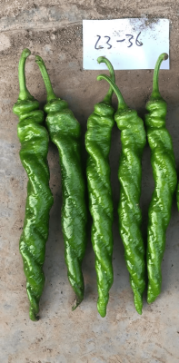 寶祿水暖赤峰銷(xiāo)售電話(huà)地址查詢(xún)-第1張圖片