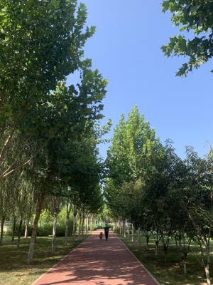 赤峰松山區(qū)遛狗地點(diǎn)電話號(hào)碼-第1張圖片